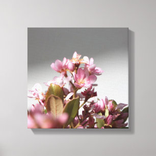 Pink Flowers Wrapped Canvas
