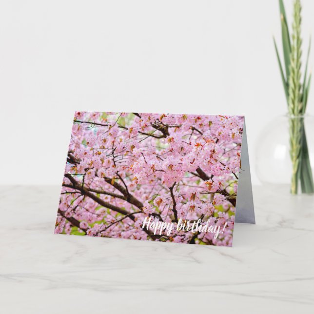 Pink Foam Of Cherry Blossoms Over The Sakura Trees Card (Front)