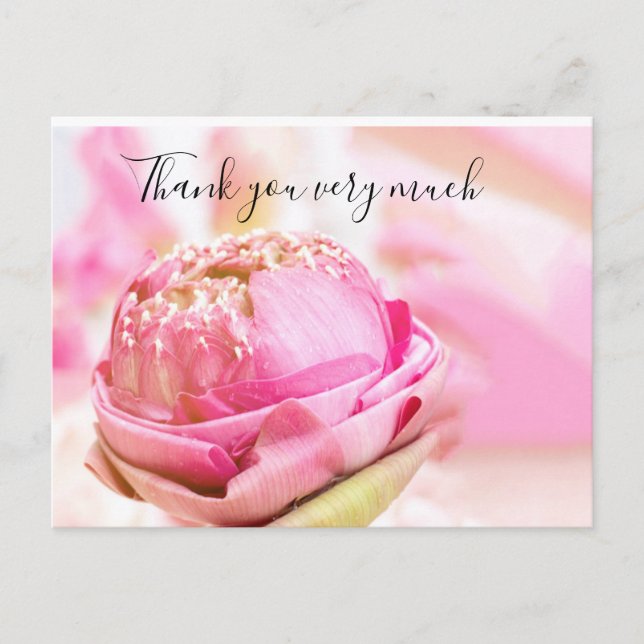 Pink folded lotus in pink background Thank You Postcard (Front)