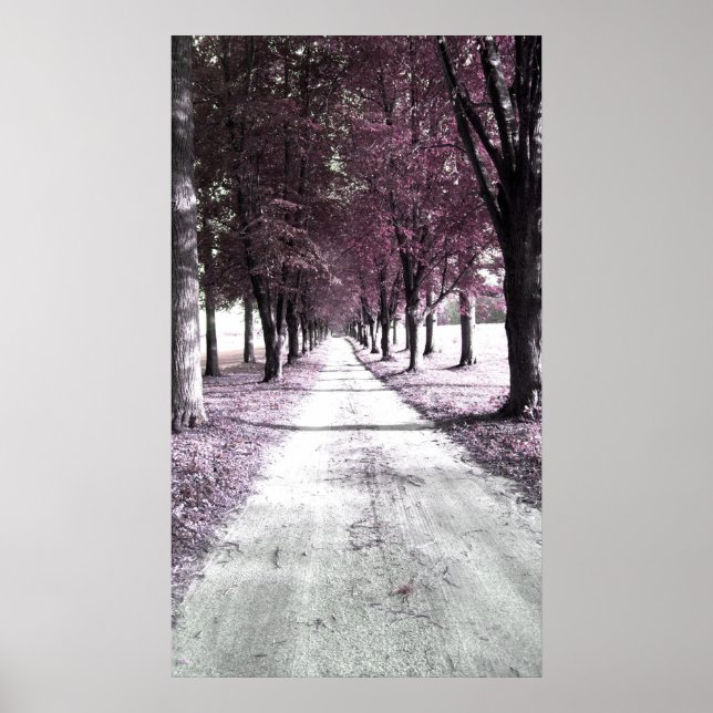 pink forrest gump road poster (Front)