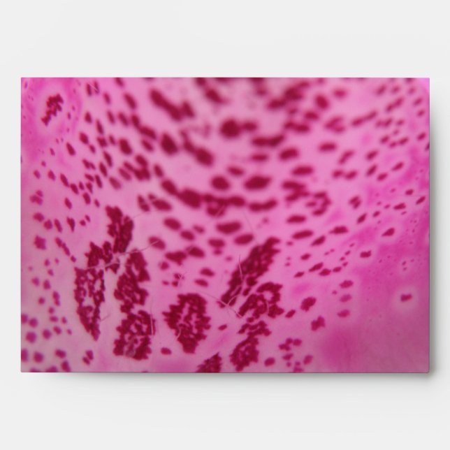 Pink Foxglove Envelope (Front)
