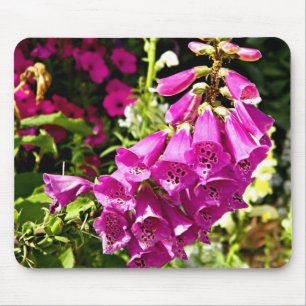 Pink Foxglove flowers Mouse Pad