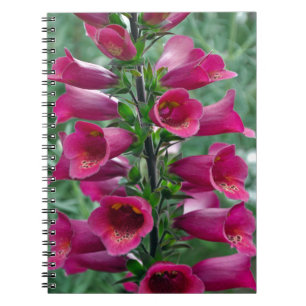 Pink foxglove flowers spiral notebook