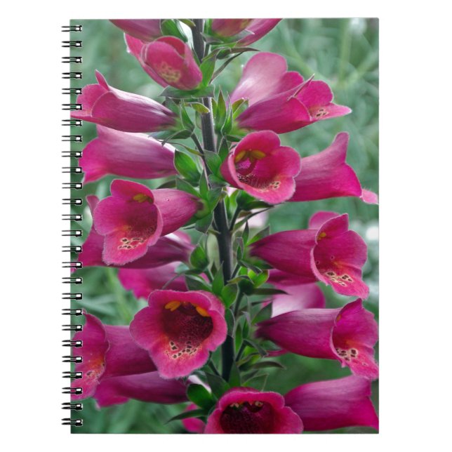 Pink foxglove flowers spiral notebook (Front)