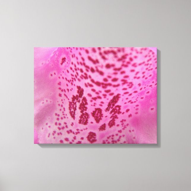 Pink Foxglove Petal Canvas Print (Front)