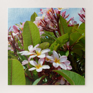 Pink Frangipanis On A Tree,  Jigsaw Puzzle