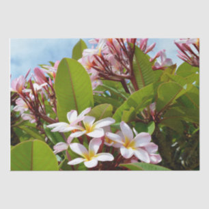 Pink Frangipanis On A Tree, Tissue Paper