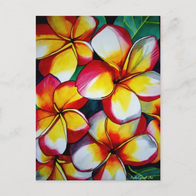 Pink Frangipanis postcard by Sacha Grossel Art (Front)