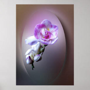 pink freesia flower poster