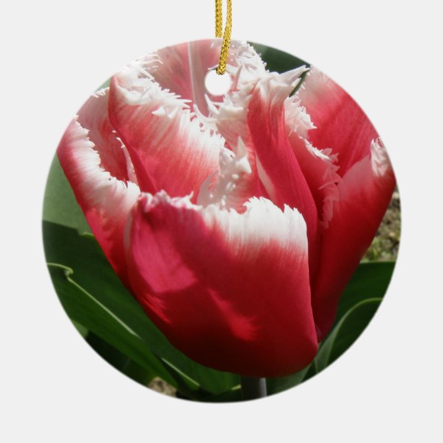 Pink Fringed Tulip Custom Birthday Ceramic Tree Decoration (Front)