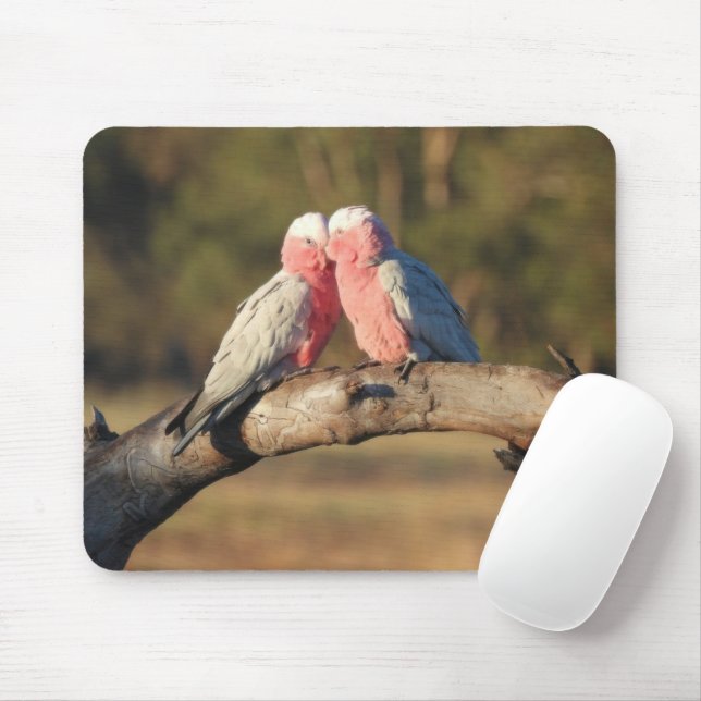 Pink Galahs Mouse Pad (With Mouse)