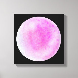 Pink Galaxy Orb – Pink and White Canvas Print