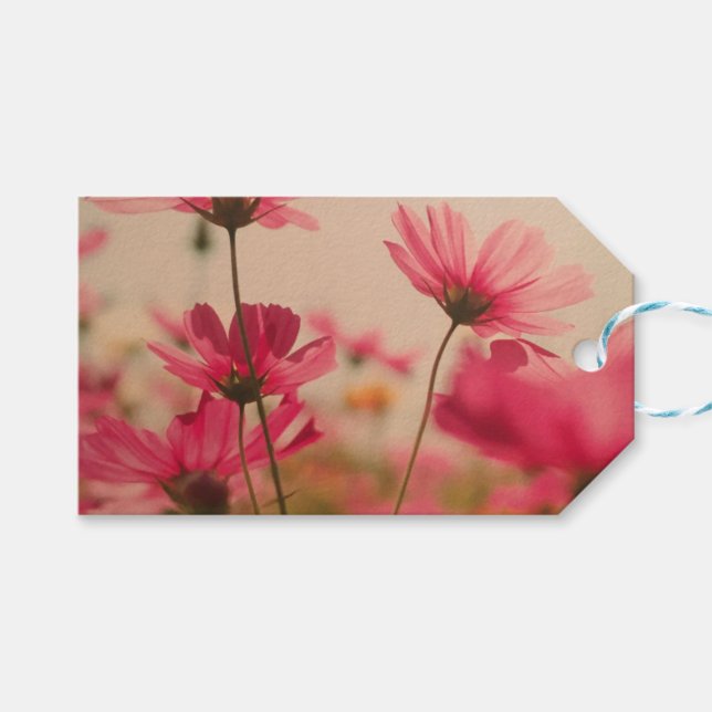 Pink Garden Cosmos Flowers Gift Tag (Front (Horizontal))