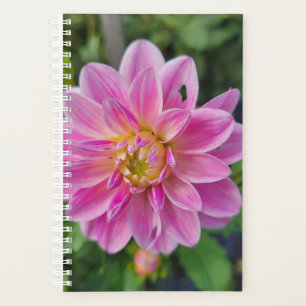 Pink Garden Dahlia Bloom Planner