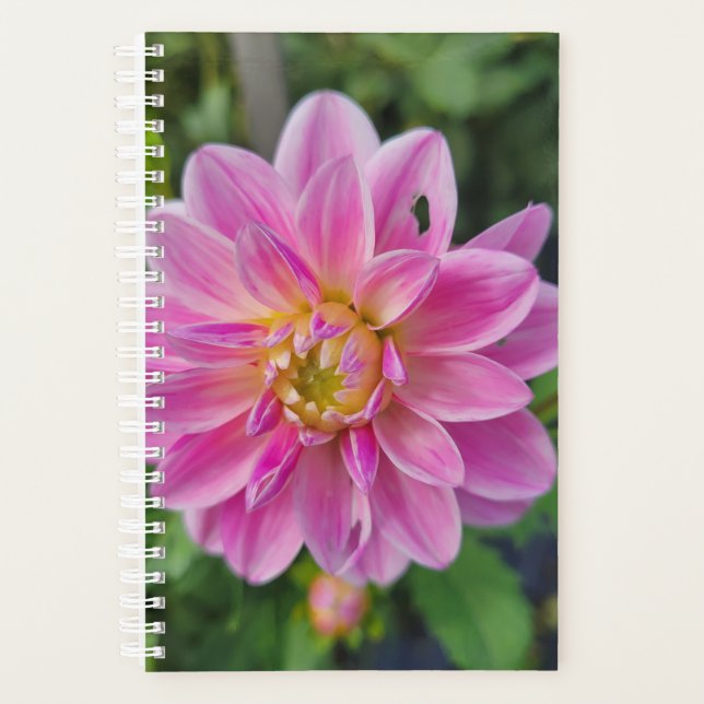 Pink Garden Dahlia Bloom Planner (Front)