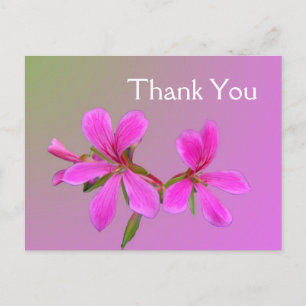 Pink garden flower thank you postcards. postcard