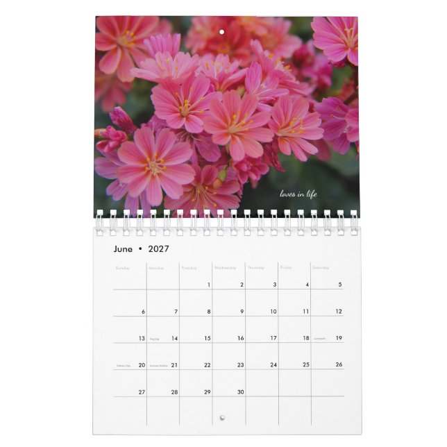 Pink Garden Flowers Calendar (Jun 2027)