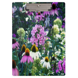 Pink Garden Phlox Landscape with Cone Flowers Clipboard