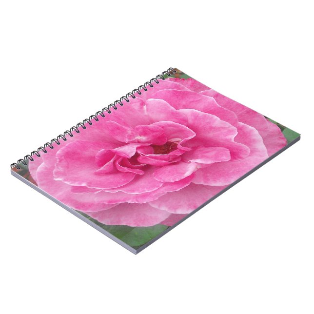 Pink Garden Rose Spiral Notebook (Left Side)