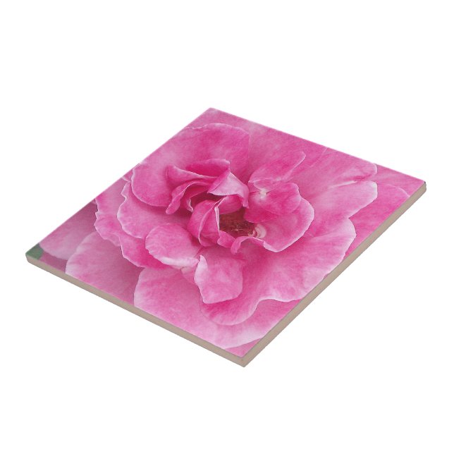 Pink Garden Rose Tile (Side)