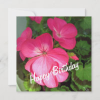 Pink Geranium Birthday Card