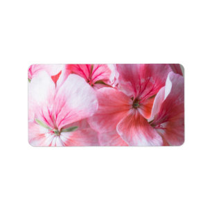 Pink geranium flower label