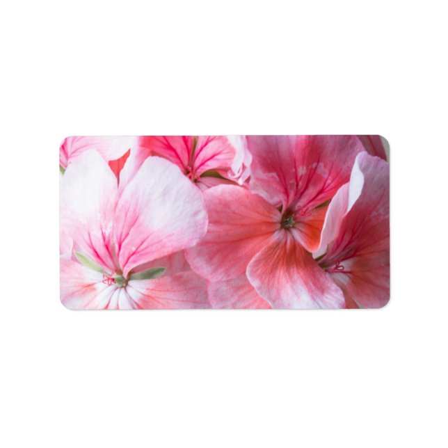 Pink geranium flower label (Front)