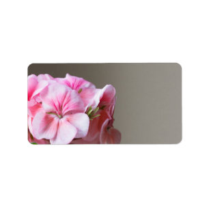 Pink geranium flower label