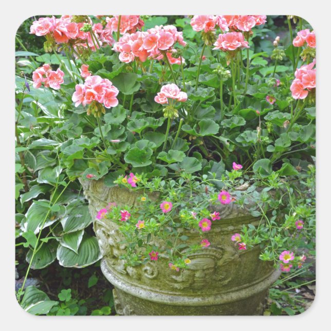 Pink geranium flower planter square sticker (Front)