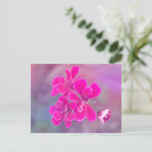 Pink Geranium Flowers Postcard