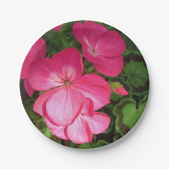 Pink Geranium Paper Plate (Front)