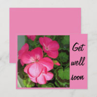 Pink Geranium Photo Get Well Soon