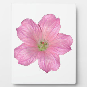 Pink Geranium Plaque