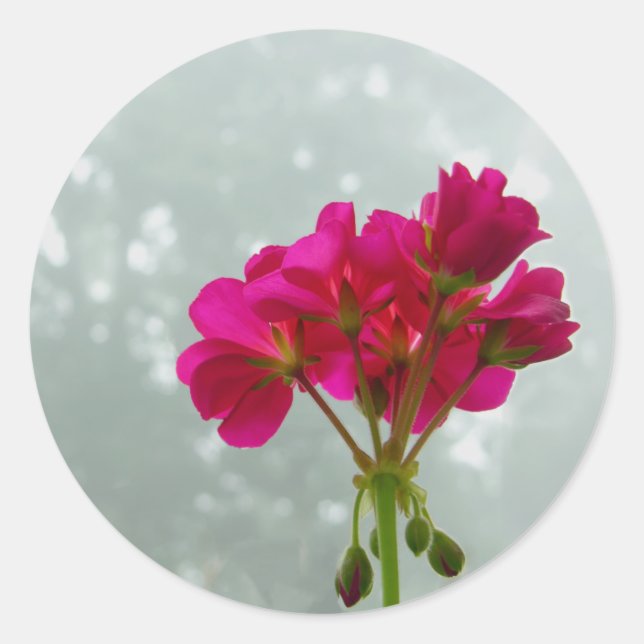 Pink Geraniums Floral Stickers (Front)