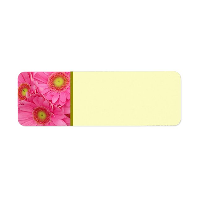 Pink Gerber Daisies (Front)