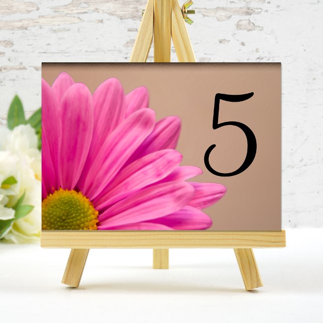 Pink Gerber Daisy Flower Table Numbers (Creator Uploaded)
