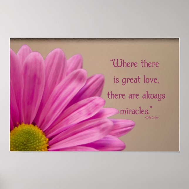 Pink Gerber Daisy Miracles Poster (Front)