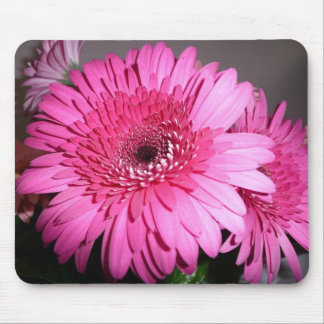Pink Gerber Daisy Mouse Pad