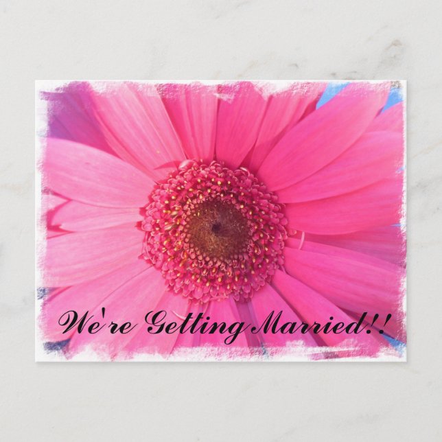 Pink Gerber Daisy Wedding Invitation (Front)
