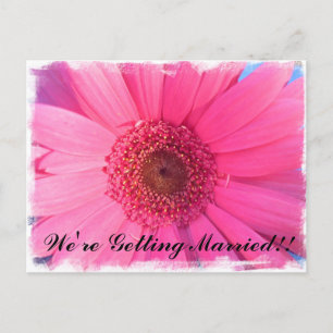 Pink Gerber Daisy Wedding Invitation Postcard
