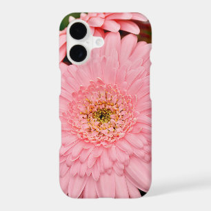 Pink gerber flower iphone case