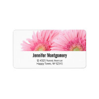 Pink Gerbera Daisies Elegant Photo