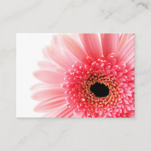 Pink Gerbera Daisy Appointment Card