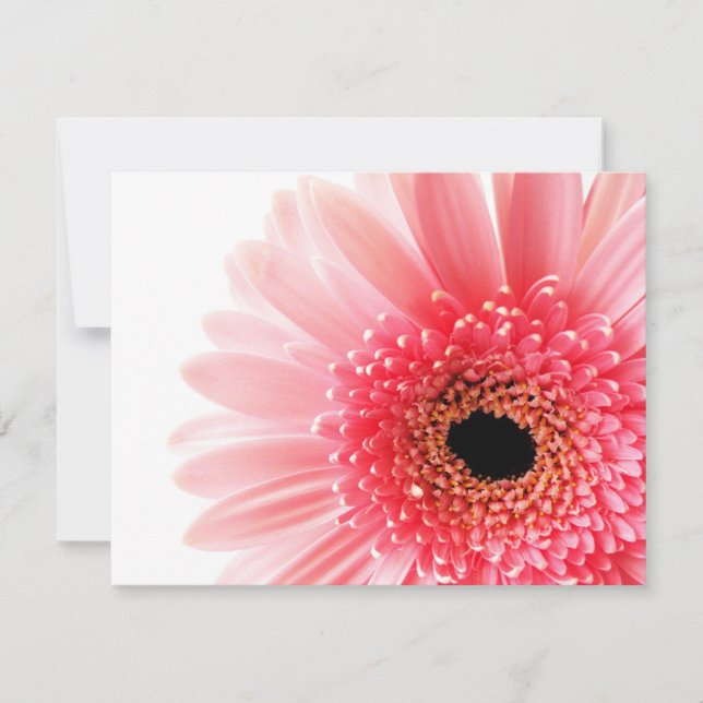 Pink Gerbera Daisy Card (Front)