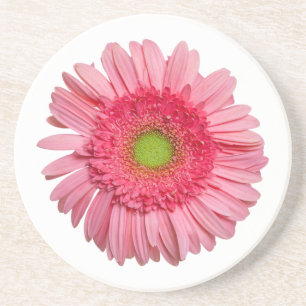 Pink Gerbera Daisy Coaster
