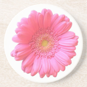 Pink gerbera daisy coaster