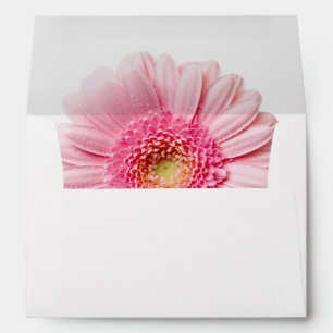 Pink Gerbera Daisy Envelope A7 Greeting Card