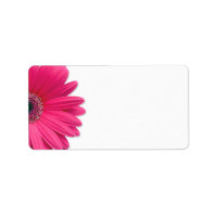 Pink Gerbera Daisy Flower Wedding Blank Address