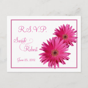 Pink Gerbera Daisy Flowers RSVP Postcard