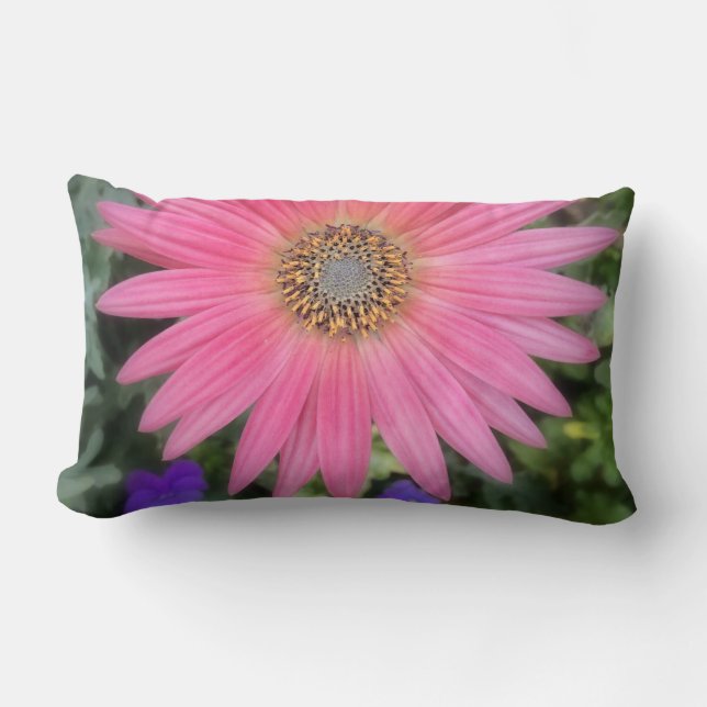 Pink Gerbera Daisy Lumbar Pillow (Front)